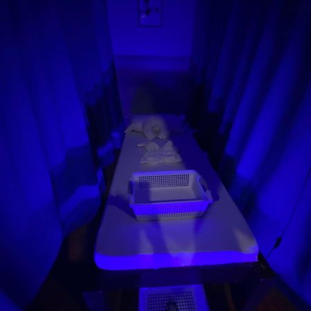 Indino Guesthouse Moalboal Ngoại thất bức ảnh